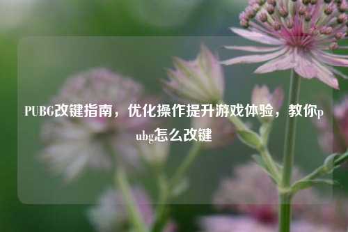 PUBG改键指南,优化操作提升游戏体验,教你pubg怎么改键