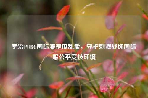 整治PUBG国际服歪瓜乱象,守护刺激战场国际服公平竞技环境