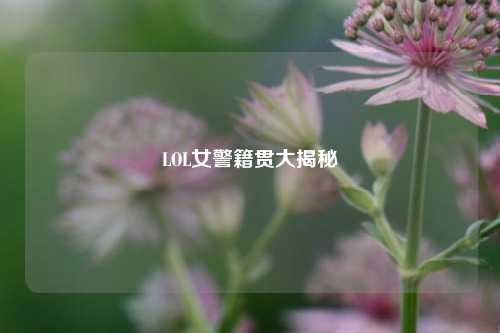 LOL女警籍贯大揭秘