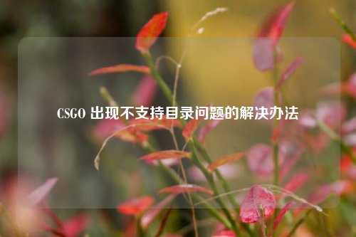 CSGO 出现不支持目录问题的解决办法