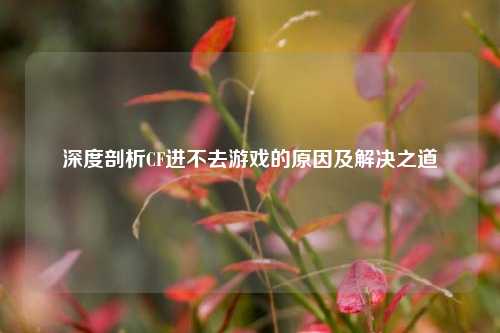 深度剖析CF进不去游戏的原因及解决之道