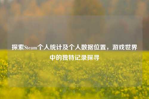 探索Steam个人统计及个人数据位置,游戏世界中的独特记录探寻