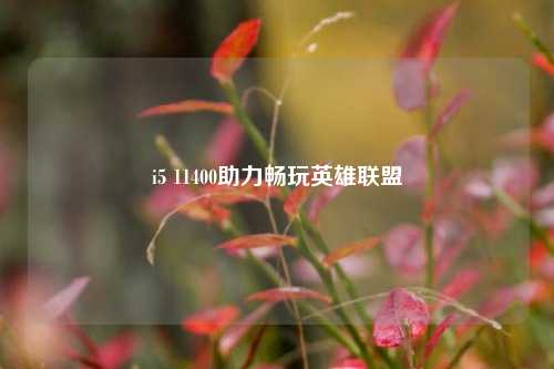 i5 11400助力畅玩英雄联盟