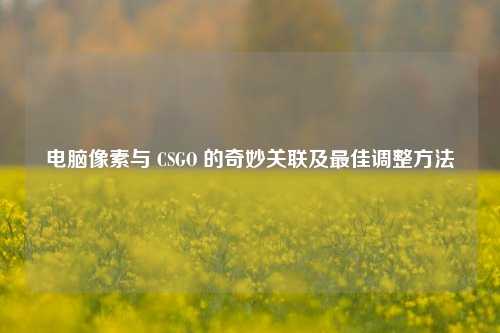 电脑像素与 CSGO 的奇妙关联及最佳调整方法