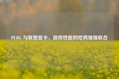 PUBG 与联想显卡,游戏性能的吃鸡强强联合