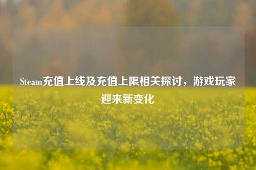 Steam充值上线及充值上限相关探讨,游戏玩家迎来新变化