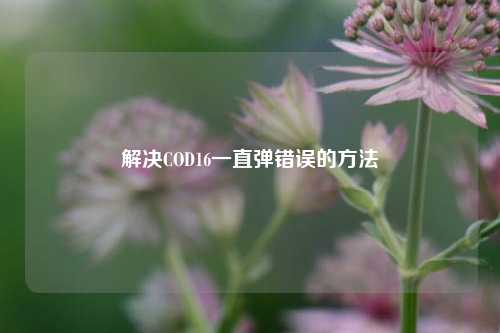 解决COD16一直弹错误的方法