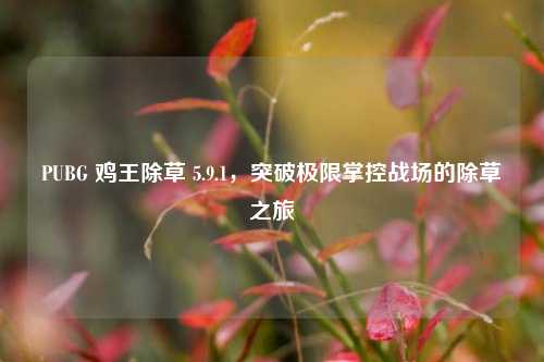 PUBG 鸡王除草 5.9.1,突破极限掌控战场的除草之旅