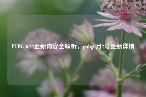 PUBG 6.22更新内容全解析,pubg6月2号更新详情