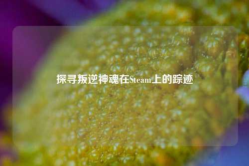 探寻叛逆神魂在Steam上的踪迹