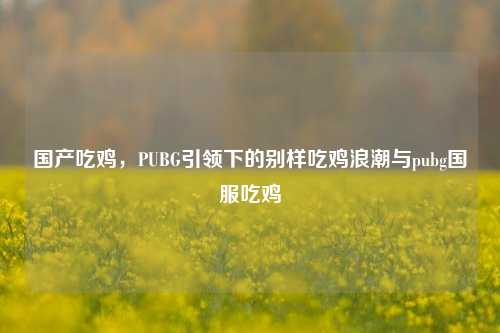 国产吃鸡，PUBG引领下的别样吃鸡浪潮与pubg国服吃鸡