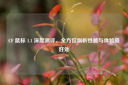 CF 鼠标 1.1 深度测评,全方位剖析性能与体验及好处