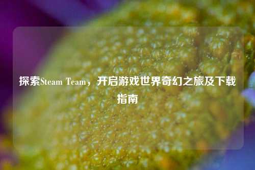 探索Steam Team,开启游戏世界奇幻之旅及下载指南