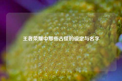 王者荣耀中那些古怪的设定与名字