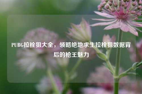 PUBG拉栓狙大全，领略绝地求生拉栓狙数据背后的枪王魅力