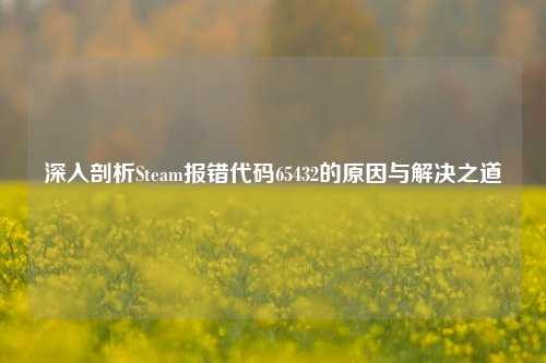 深入剖析Steam报错代码65432的原因与解决之道
