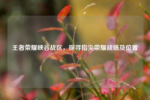 王者荣耀峡谷战区,探寻指尖荣耀战场及位置
