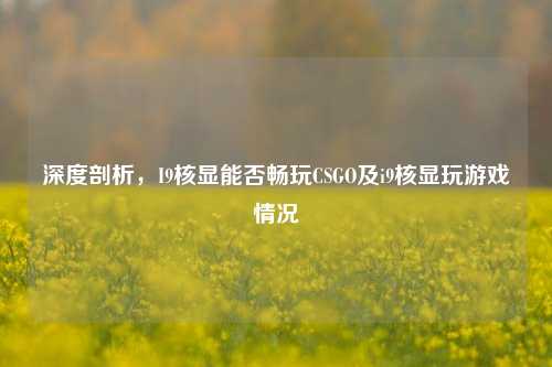 深度剖析,I9核显能否畅玩CSGO及i9核显玩游戏情况