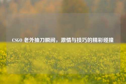 CSGO 老外抽刀瞬间，激情与技巧的精彩碰撞
