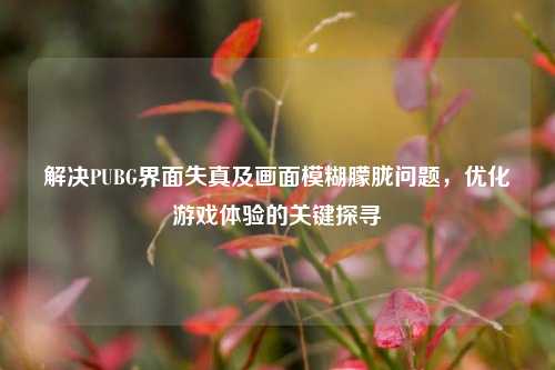 解决PUBG界面失真及画面模糊朦胧问题，优化游戏体验的关键探寻