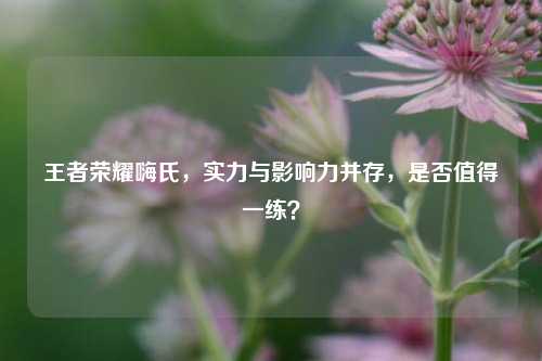 王者荣耀嗨氏,实力与影响力并存,是否值得一练?