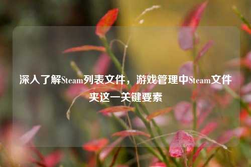 深入了解Steam列表文件,游戏管理中Steam文件夹这一关键要素