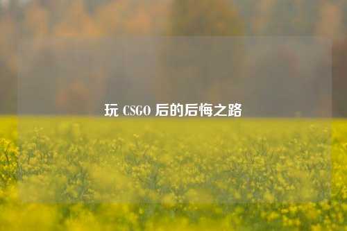玩 CSGO 后的后悔之路