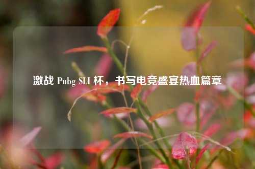 激战 Pubg SLI 杯，书写电竞盛宴热血篇章