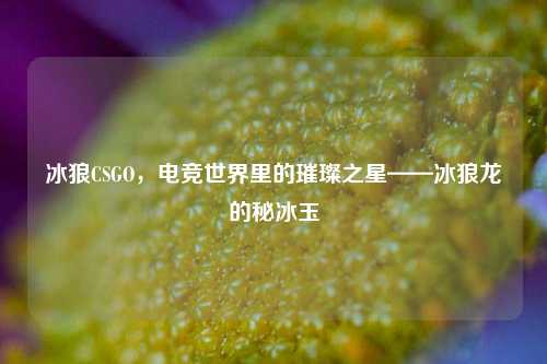 冰狼CSGO,电竞世界里的璀璨之星——冰狼龙的秘冰玉