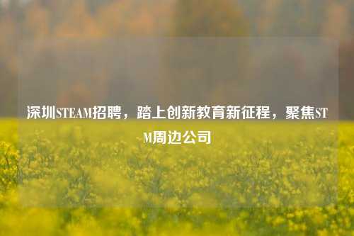 深圳STEAM招聘，踏上创新教育新征程，聚焦STM周边公司