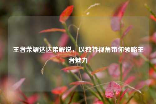 王者荣耀达达弟解说，以独特视角带你领略王者魅力