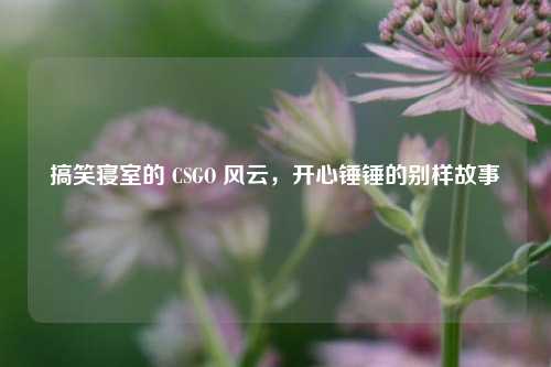 搞笑寝室的 CSGO 风云,开心锤锤的别样故事