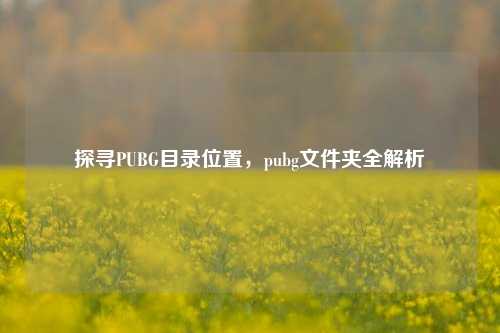 探寻PUBG目录位置,pubg文件夹全解析