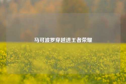 马可波罗穿越进王者荣耀