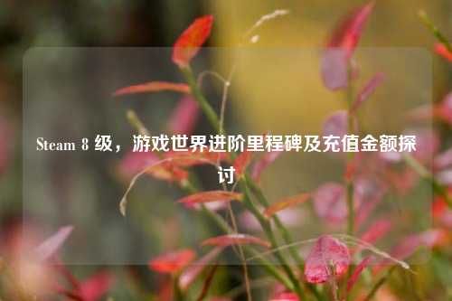 Steam 8 级,游戏世界进阶里程碑及充值金额探讨
