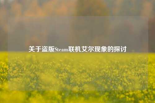 关于盗版Steam联机艾尔现象的探讨