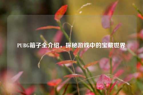 PUBG箱子全介绍,探秘游戏中的宝藏世界