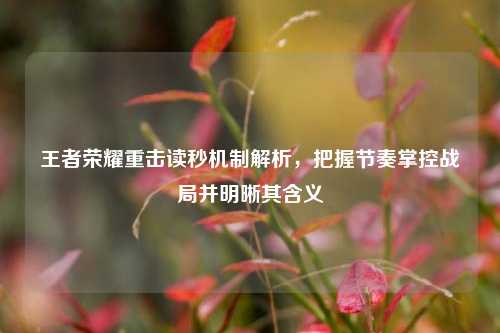 王者荣耀重击读秒机制解析,把握节奏掌控战局并明晰其含义