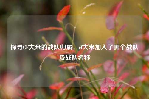 探寻CF大米的战队归属,cf大米加入了哪个战队及战队名称