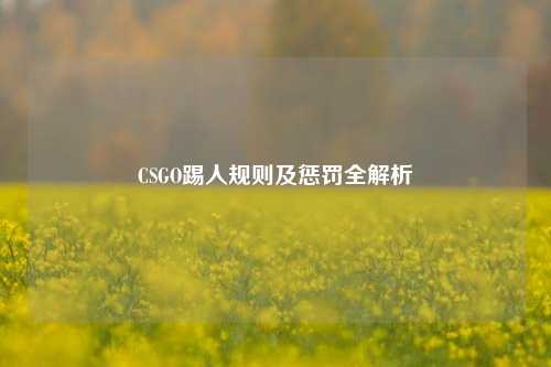 CSGO踢人规则及惩罚全解析