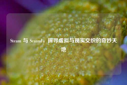 Steam 与 Seaand,探寻虚拟与现实交织的奇妙天地