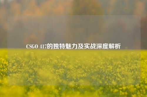 CSGO 417的独特魅力及实战深度解析