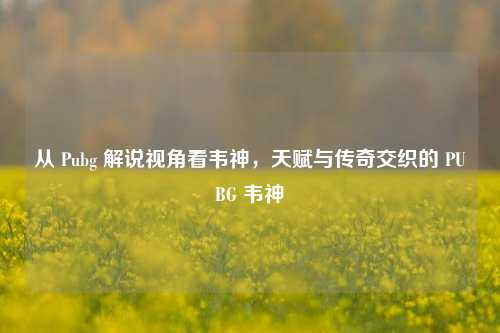 从 Pubg 解说视角看韦神，天赋与传奇交织的 PUBG 韦神