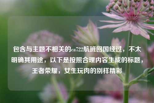 包含与主题不相关的ca722航班回国经过，不太明确其用途，以下是按照合理内容生成的标题，王者荣耀，女生玩肉的别样精彩