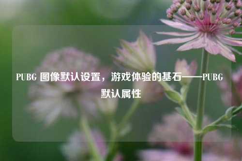 PUBG 图像默认设置,游戏体验的基石——PUBG 默认属性