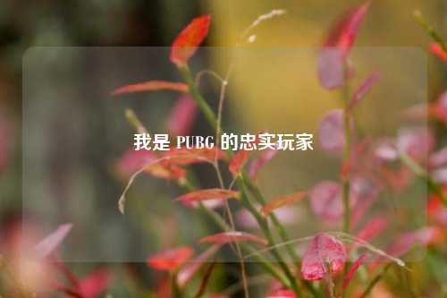 我是 PUBG 的忠实玩家
