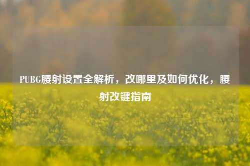 PUBG腰射设置全解析,改哪里及如何优化,腰射改键指南