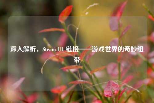 深入解析，Steam UL 链接——游戏世界的奇妙纽带