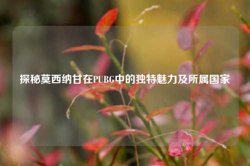 探秘莫西纳甘在PUBG中的独特魅力及所属国家