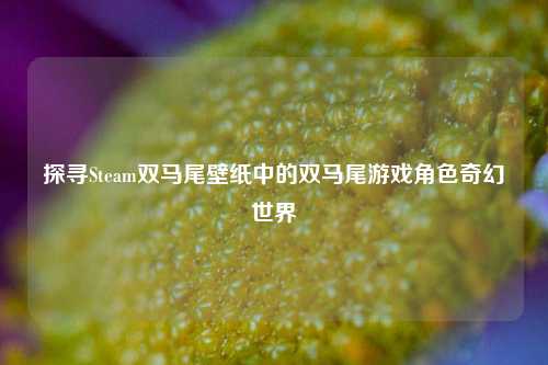 探寻Steam双马尾壁纸中的双马尾游戏角色奇幻世界